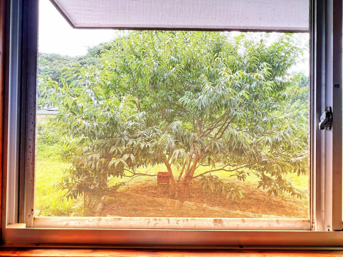 Iriyama-So Hotel Shimoda  Buitenkant foto